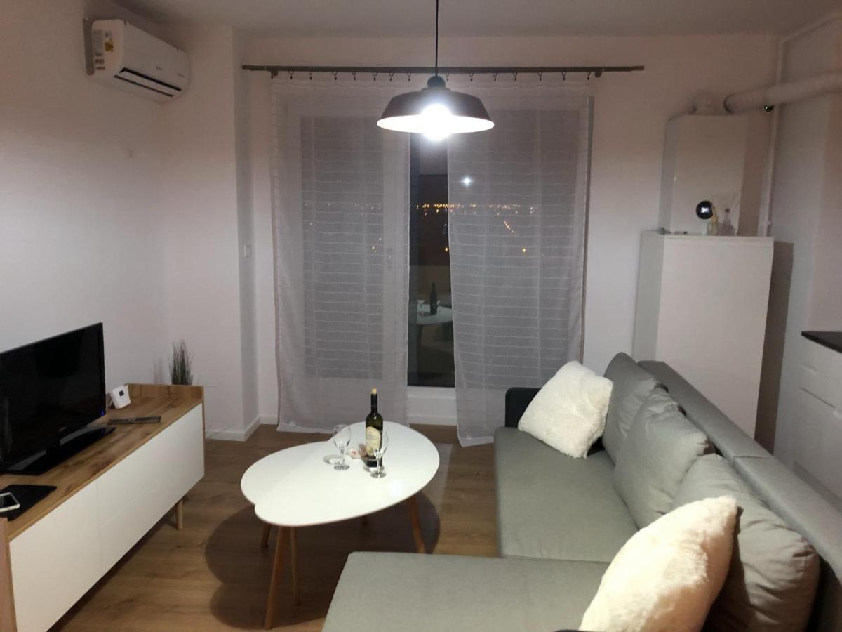 Chronos Apartment - Modern And Stylish Timişoara Exterior foto